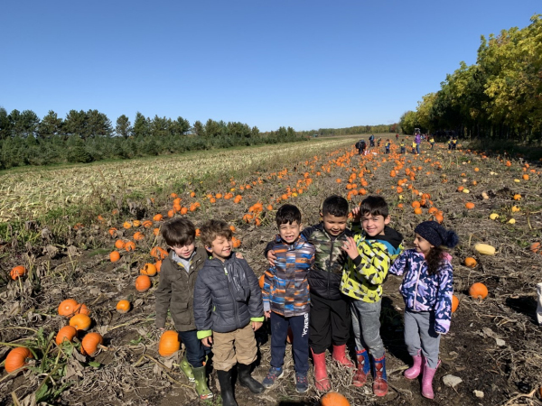 Pumpkin Picking 2020
