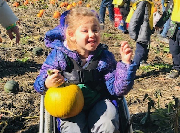 Pumpkin Picking 2020